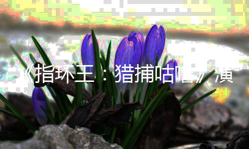 捕咕佩斯环王回归指阵容公布王演员精灵猎噜 李饰演