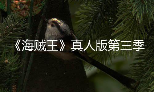 巴斯宣 阿拉坦之海贼王真战人版第三季官聚焦