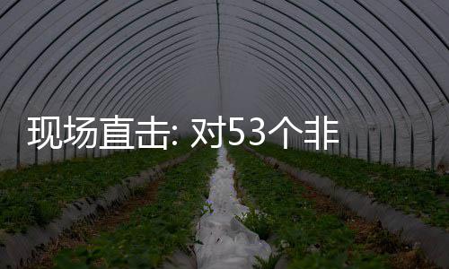 现场通关货物直击3个国全关税面实对5非洲全国建交施零首票深圳