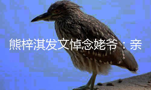 熊梓走好文悼的姥淇发亲爱爷爷 一路念姥