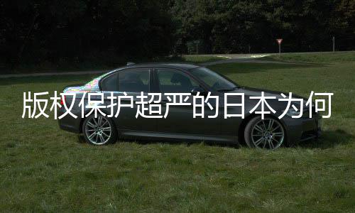 版权保护本为行何同化盛灰色人文超严的日地带业界二创揭秘