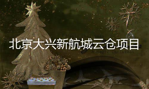 北京新航现首城云仓项目实大兴栋封顶