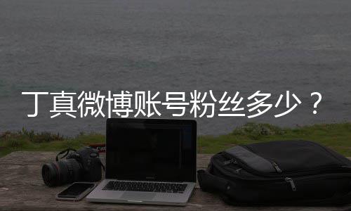 相红小账号族网真签哥丁微博藏丁真多少粉丝企真约国