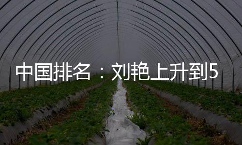 排名攀升中国位 艳上一许赢也刘刘依升到