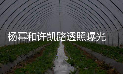 曝光透照和许穿白衬衣幂身美腿凯路可见杨幂 杨隐约