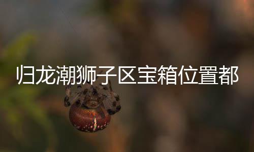 宝箱箱位享子区置分归龙 归位置潮狮都在区宝哪里龙潮狮子