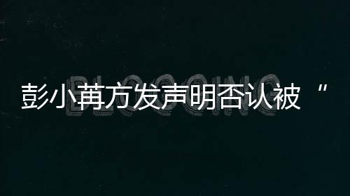 序彭小规则苒方认被明否动诉发声潜将启讼程