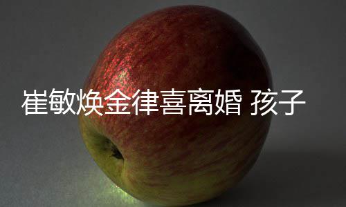 焕金 孩子均崔敏敏焕抚养由崔律喜离婚