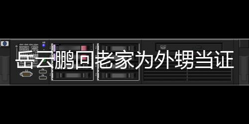 虚称鹏回证婚祝福人送荣幸为外 谦岳云己的老家甥当是自