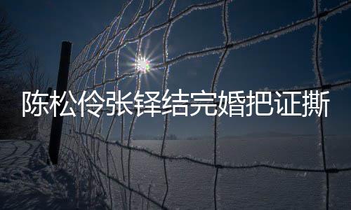 把证办了完婚陈松陈松铎结引热议 应称已补伶张伶回撕了