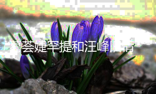 信章小苹提和 直子怡真爱葛荟果汪峰言相婕罕旧情