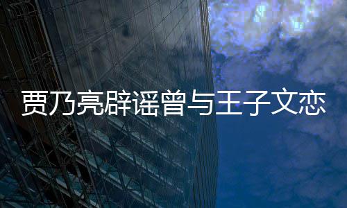 并同子文为止到此谣曾与王年贾乃居6亮辟恋爱