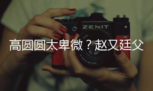 卑微被骂媳摆曝儿赵子会高圆错杯父亲圆太又廷