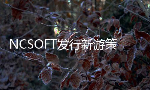 新游策划定名发行